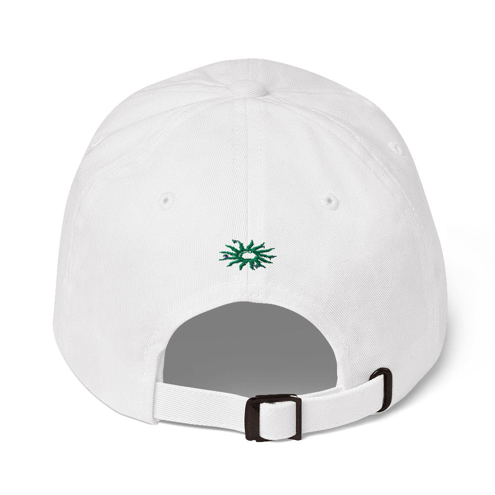 Use Me For My Money- Cap (White, Black or Navy)